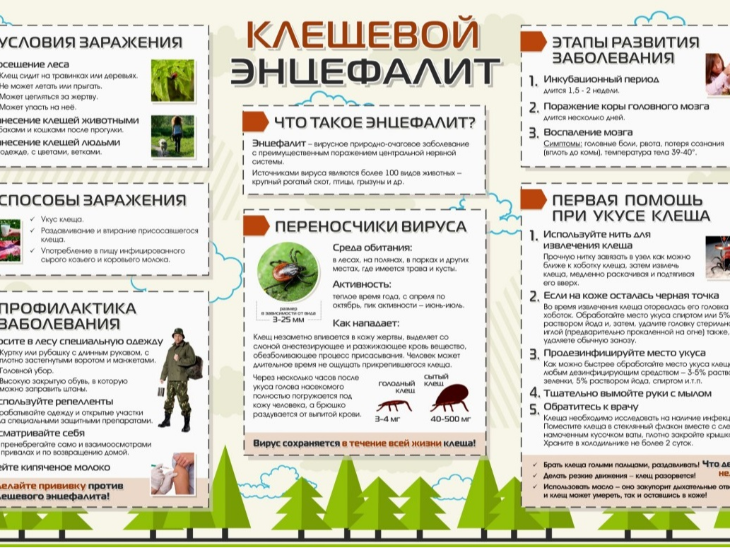 Памятка пострадавшему от укуса клеща.